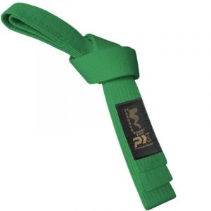 gürtel erfolgreiche winterprüfung